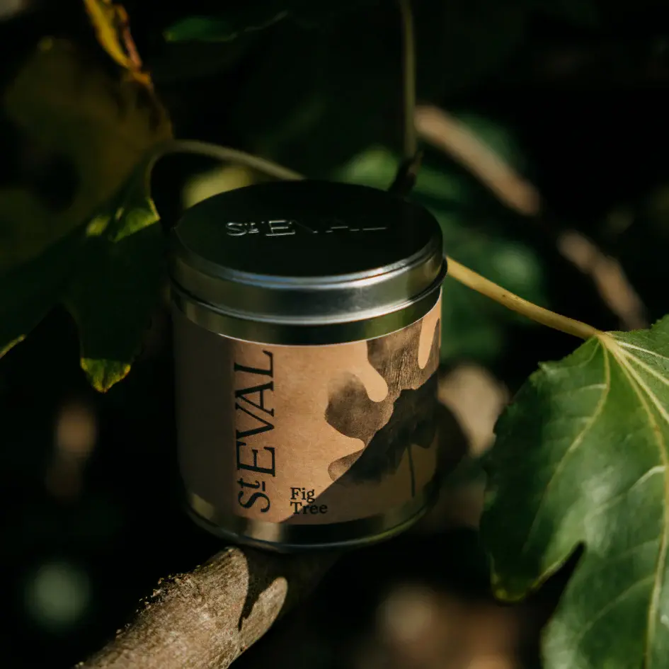 Thumbnail: St Eval Fig Tree Tin Candle