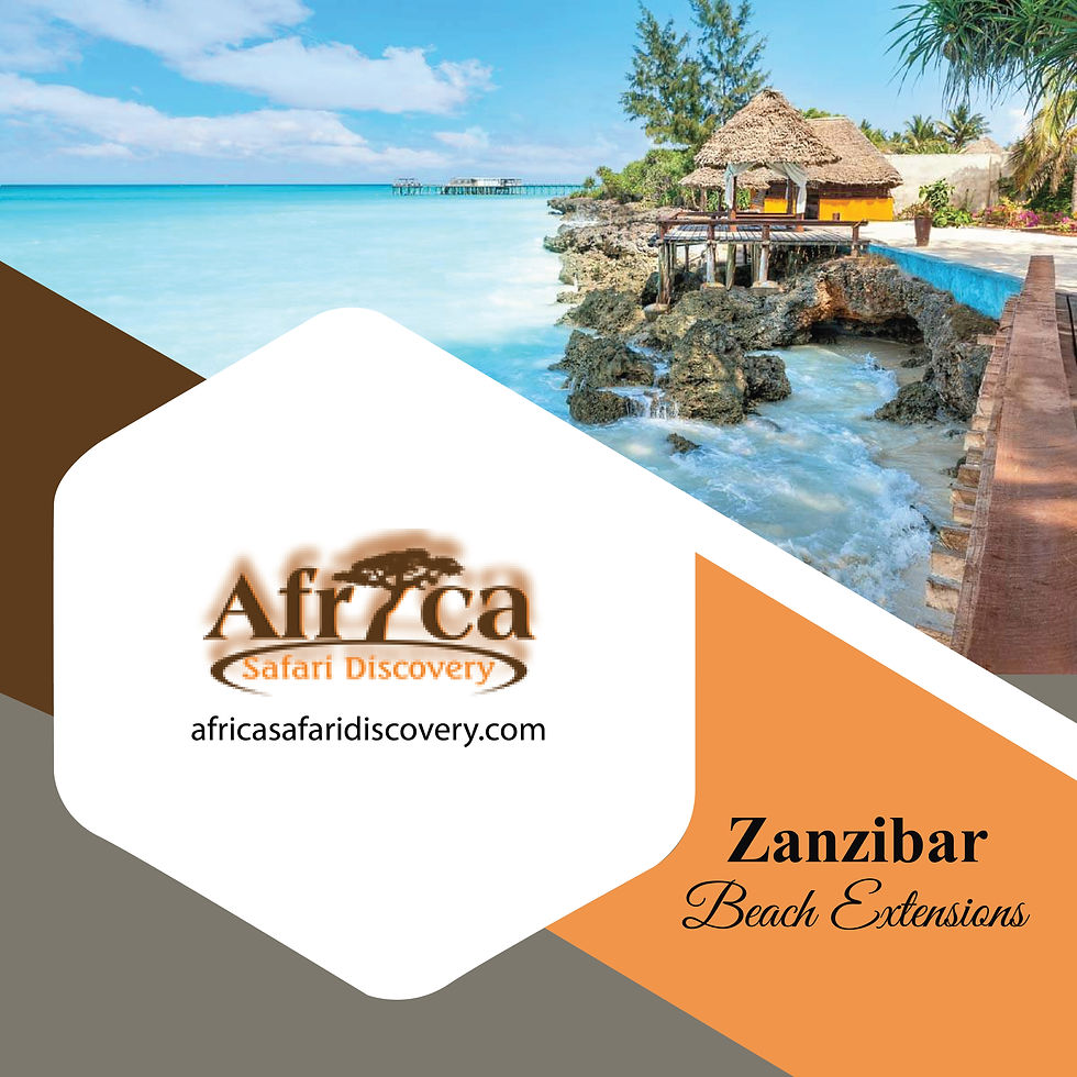 Africa Safari Discovery 28-0-3-2019-03