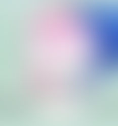 PRIVATE VIRTUAL PAINT PARTY!!!