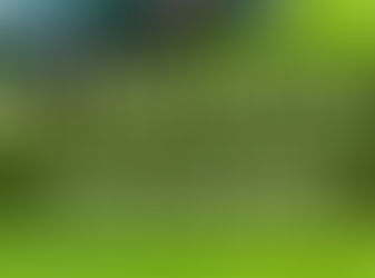 Ultimate Tall Fescue Lawn Care Guide for Lush Green and Healthy Lawn