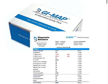 GI-map-test-picture