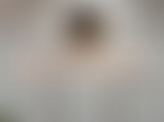 CSMJ CONFIRMA: PRESIDENTE DA CNE CONTINUA AFASTADO DOS TRIBUNAIS DURANTE MANDATO