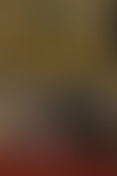 ACADÉMICOS DOS EUA IMPRESSIONADOS COM A ASSEMBLEIA NACIONAL DE ANGOLA