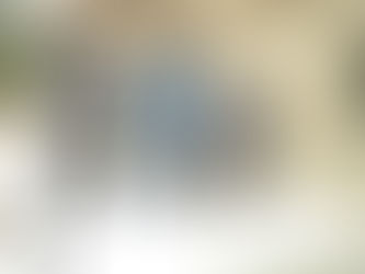 CIDADÃO MALIANO DETIDO POR USO DE DOCUMENTOS ANGOLANOS FALSOS PARA OBTER VISTO AMERICANO