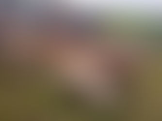 MISTÉRIO NO HUAMBO: TROVOADA PROVOCA MORTE DE DEZENAS DE CABEÇAS DE GADO