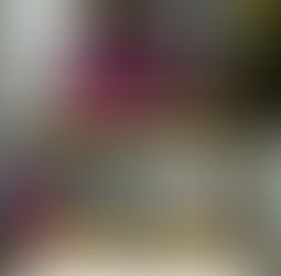 "KANGAMBA GARANTE DIAS MELHORES E AFIRMA: ‘DINHEIRO DA ARGENTINA É MEU, NÃO DO ESTADO’"