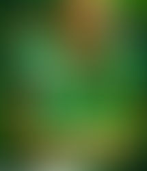 QUANDO A LIDERANÇA DECIDE UM TÍTULO: SENEGAL CONQUISTA O CAN 2025 COM ALMA E CORAGEM