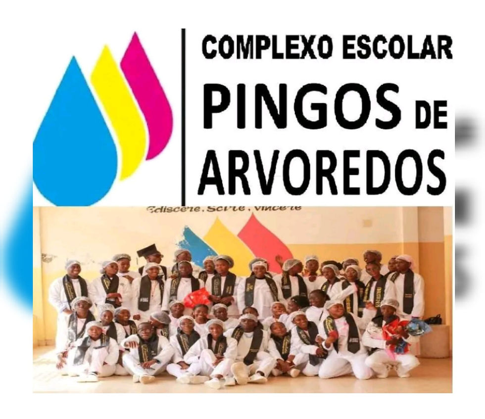 INSTITUTO PINGOS DE ALVOREDOS QUEBRA O SILÊNCIO E GARANTE ENTREGA DOS CERTIFICADOS NOS PRÓXIMOS DIAS