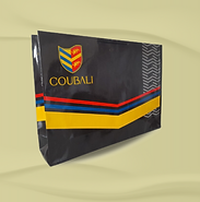 Sacola de papel (1).png