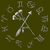 airoe astrolotea