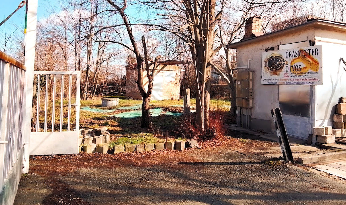 00005XTR_00066_BURST20260225122358_edite