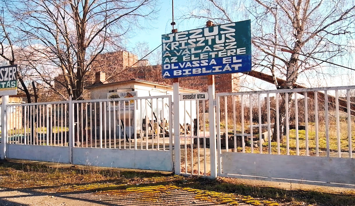 00004XTR_00156_BURST20260225131958_edite