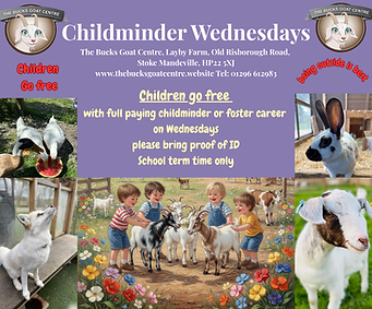 Child Minder Wednesdays 1 (Facebook Post).png