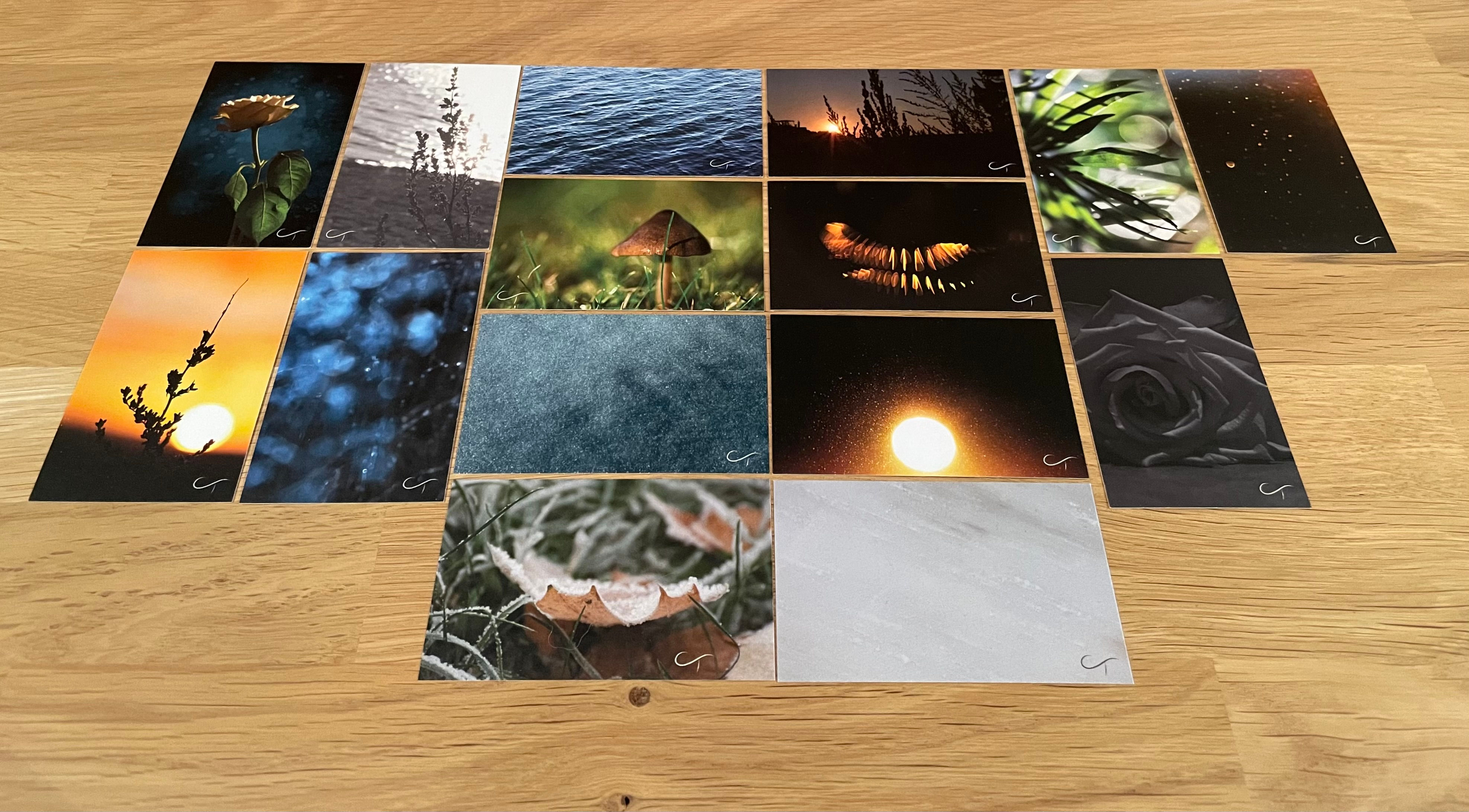 Flerbrukslapper Pakkelapper Kort Verden er full av detaljer 1 Camilla Tangen Bokmerke Pynt Rose Sol Sopp Planter Bakgrunn Lys