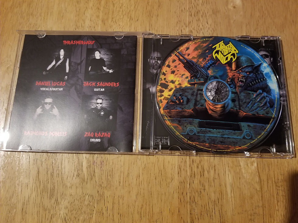 Thumbnail: Inside The Sickened Mind Physical CD