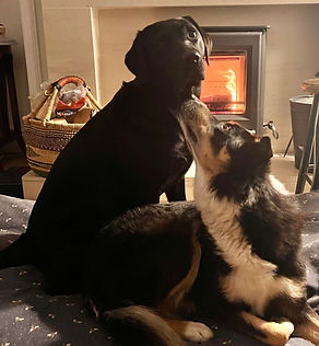 Flo and Kiko relaxing at home