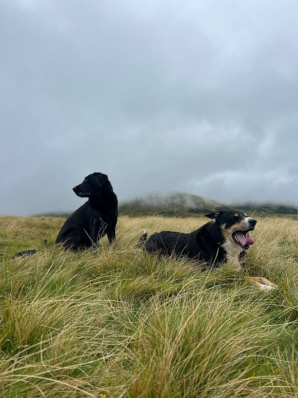Kiko and Flo in the Ochils.jpg