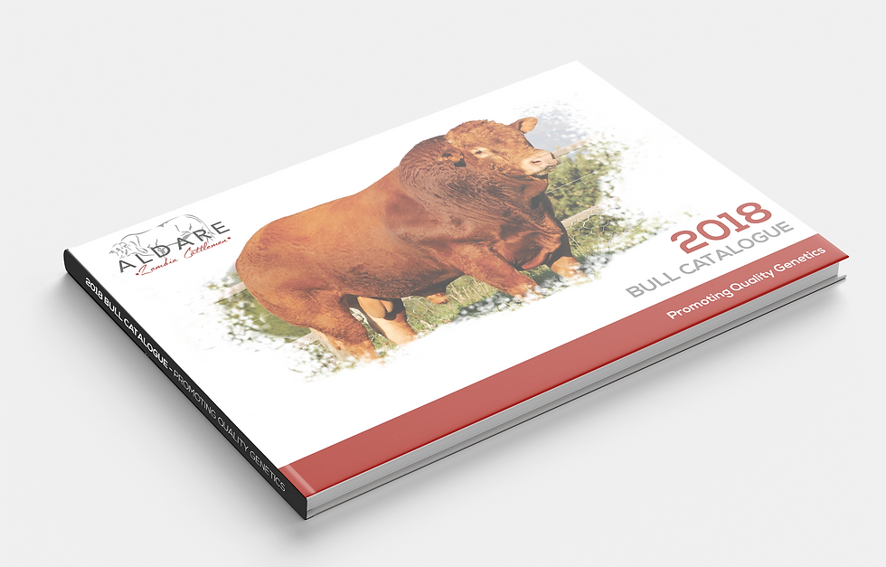 Catalogues