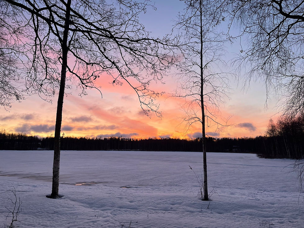 Pikkuveli, joka ei saanut elää - elävän sisaruksen suru