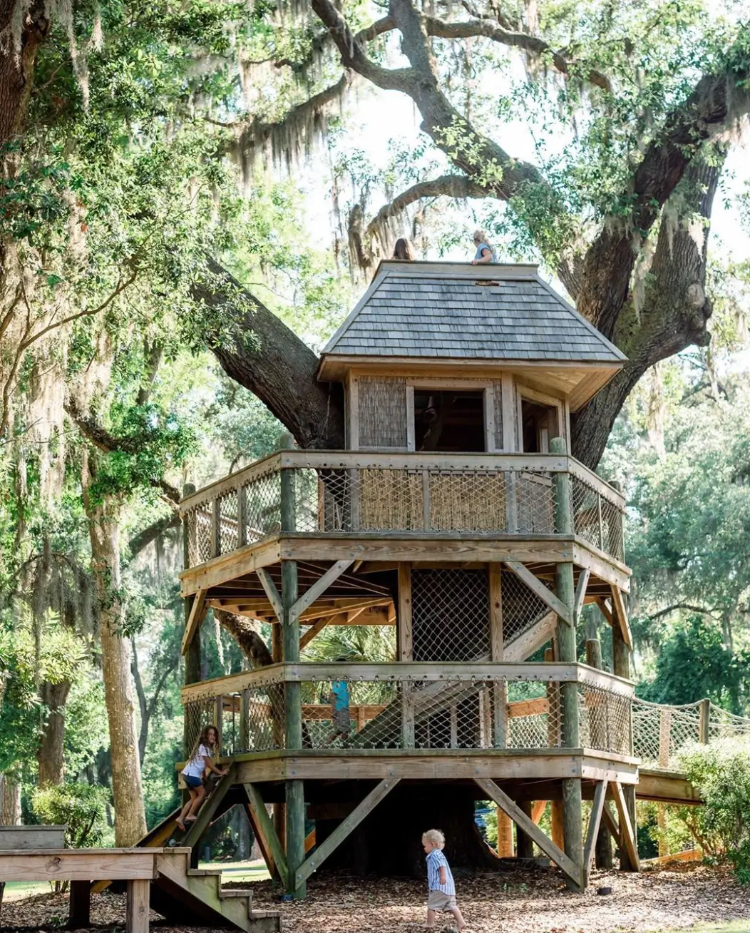 Tree fort