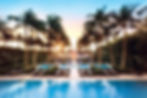 palm trees around pool with sunrise in background