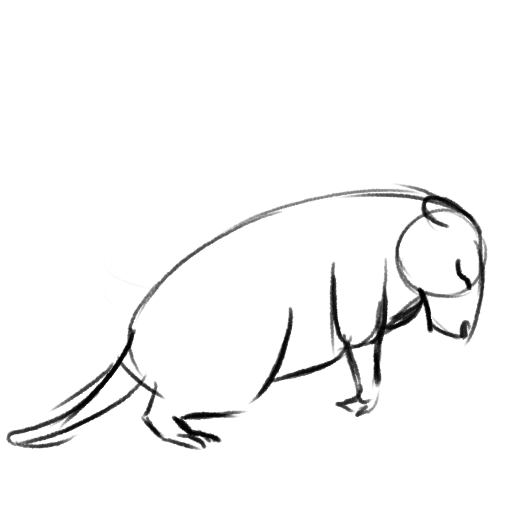 Rough Brute