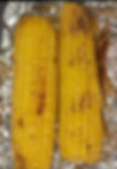 Roasted Corn (Per serving)