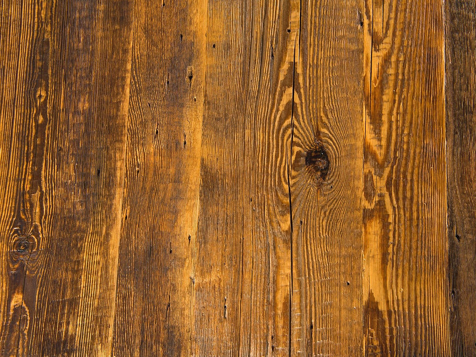 Miniaturebillede: Ekbord ZORI