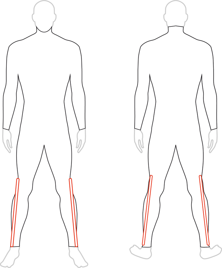 人の体の前面と背面図、赤い線で脚の部分が強調表示