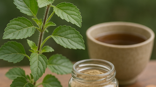 Tulsi plant beside a glass jar of powder and a wooden spoon on a table, with a cup of tea in the background.