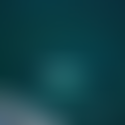 Two trips with nice weather, lots of interesting whale and porpoise behaviors.