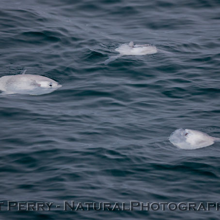 So much going on today! Please read this report for detail.