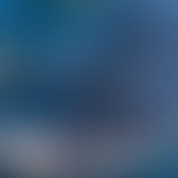 Humpback galore with several muggings including one by our old friend Scarlet.