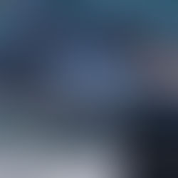 All three species of marine mammals seen today mugged the boat.