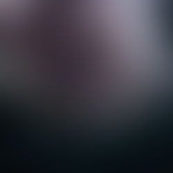 Two out of three humpback whales were friendly. Plenty of Velella still around.