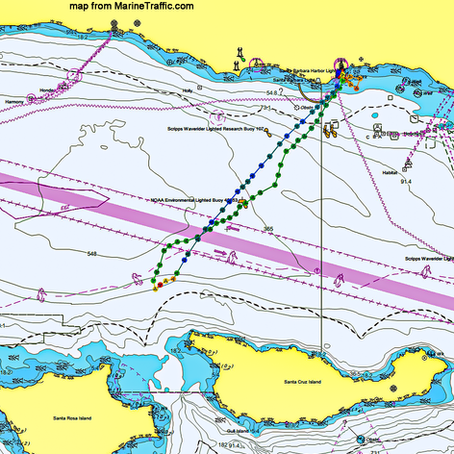 3 birdnados, 8 humpbacks and a mob of sea lions