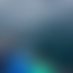 Dense fog in the morning, less so in the afternoon. Humpback whales and Dall’s porpoise today.