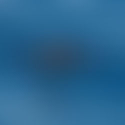 Some great sightings along the coastline.