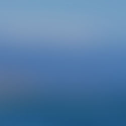 Lots of amazing whales and dolphins in the mid Channel area.