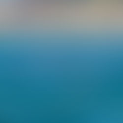 A single morning trip yields two wonderful gray whales and a spectacular juvenile humpback