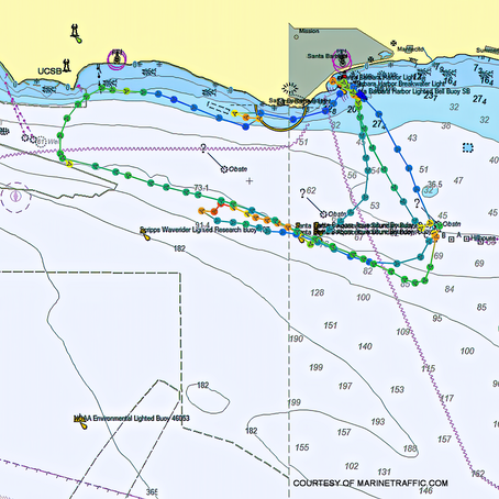 Seven gray whales and a single Minke with great coastal conditions