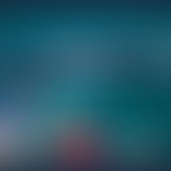 11 humpback whales with wind sending their spray asunder…plus a megapod of common dolphins