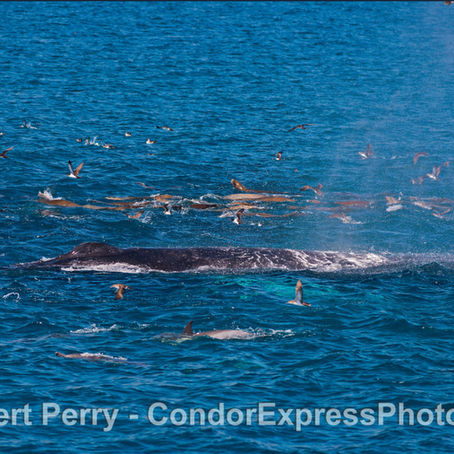 Perfect Weather and Trip for Nature Selfies.