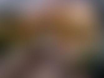 Vertical vs. Horizontal: Choosing the Right Format for Real Estate Photos & Videos