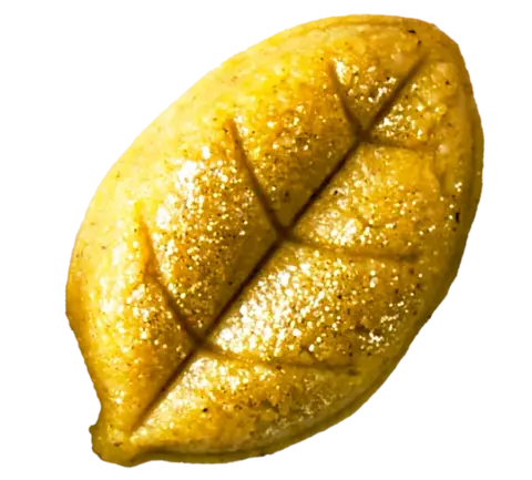 Yellow Leaf Cashew Cacao icon