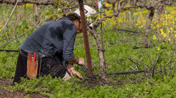 סידור צנרת השקיה