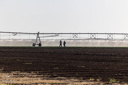 פגישת עבודה