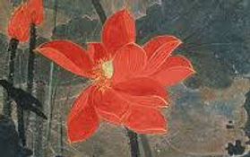 waterlillies.jpg