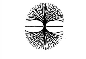 TreeSizeforWeb.jpg