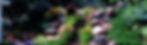 current hero image_edited.jpg